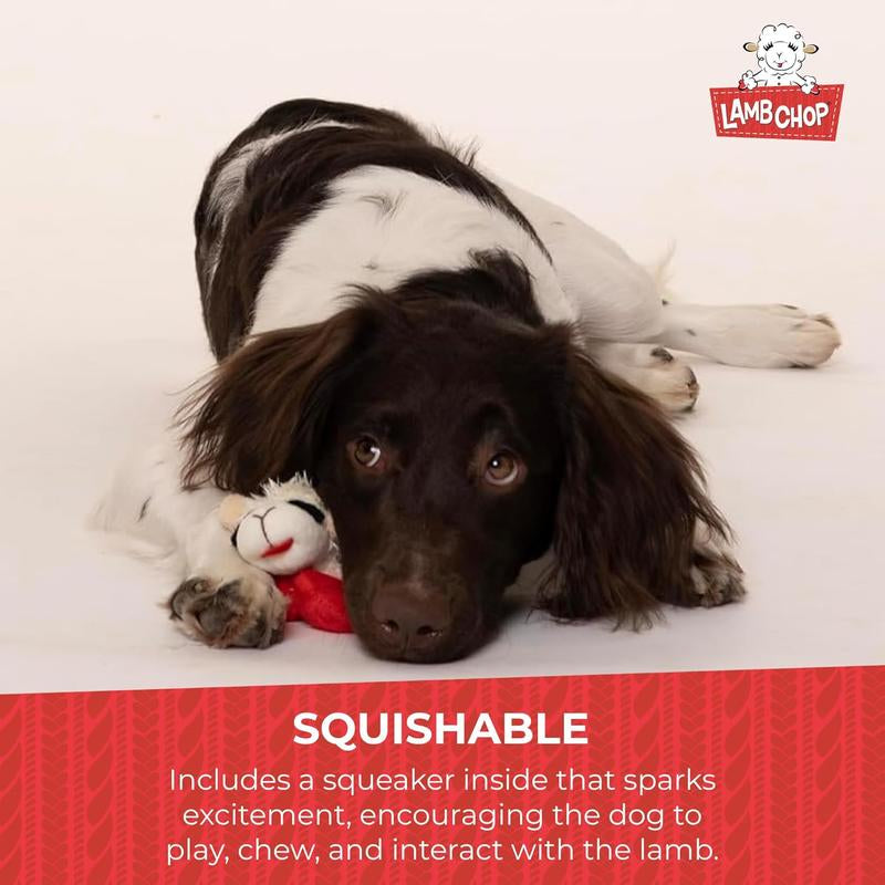Multipet Lamb Chop Dog Plush Toy - Squeaky Dog Toy for All Dogs - Extra Soft Plush Dog Toy - Stuffed Animal Dog Toy for Cuddling & Playing - Cute Pet Toy (6", Cream)