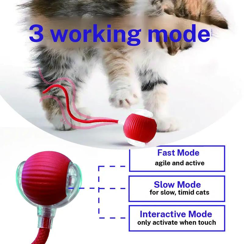 Interactive Cat & Small Dog Toy Ball | Type-C Rechargeable, Self‑Rolling on Floors/Rugs | LED + Bird Chirp | Enrichment Gift (Harsozo) Smart Cat Toys