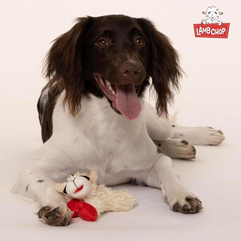 Multipet Lamb Chop Dog Plush Toy - Squeaky Dog Toy for All Dogs - Extra Soft Plush Dog Toy - Stuffed Animal Dog Toy for Cuddling & Playing - Cute Pet Toy (6", Cream)