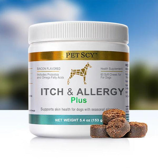 Petscy Itch & Allergy Plus+ for Dogs - Bacon-Flavored Chews with 9 Premium Ingredients for Fast Relief from Itching & Allergies - 60 Soft Chews per Jar - Vitamin