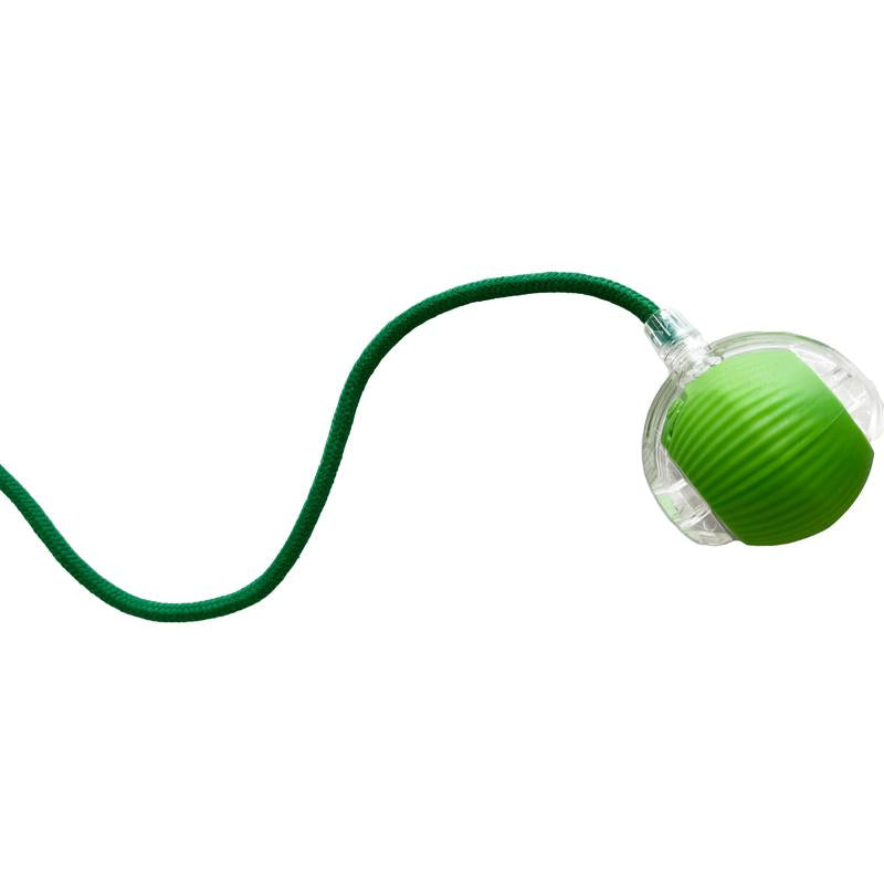 Interactive Cat & Small Dog Toy Ball | Type-C Rechargeable, Self‑Rolling on Floors/Rugs | LED + Bird Chirp | Enrichment Gift (Harsozo) Smart Cat Toys