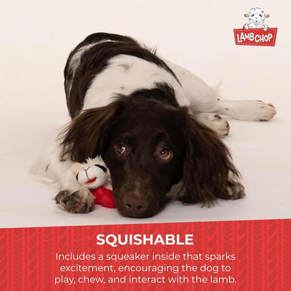 Multipet Lamb Chop Dog Plush Toy - Squeaky Dog Toy for All Dogs - Extra Soft Plush Dog Toy - Stuffed Animal Dog Toy for Cuddling & Playing - Cute Pet Toy (6", Cream)