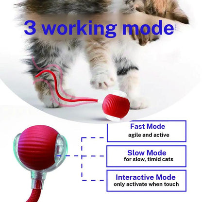 Interactive Cat & Small Dog Toy Ball | Type-C Rechargeable, Self‑Rolling on Floors/Rugs | LED + Bird Chirp | Enrichment Gift (Harsozo) Smart Cat Toys
